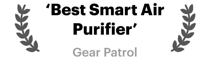 Best smart air purifier